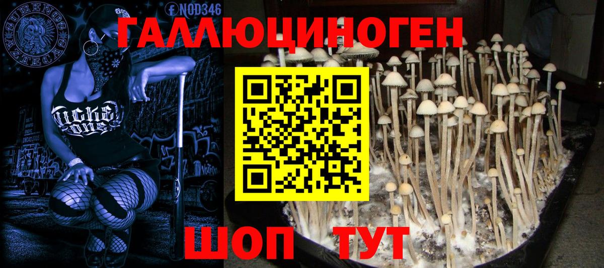 ГАШИШ  LSD-25  Канабис  КОКАИН  ГАШ  Вход с VPN  APVP СОЛЬ   МЕФ   Кулебаки  Канабис 
