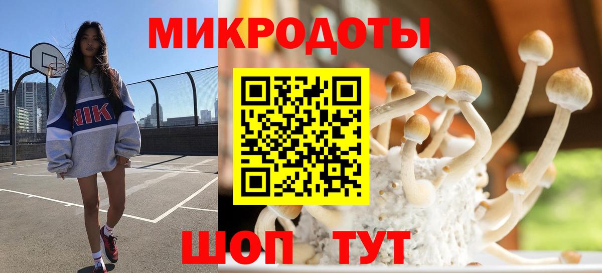 Галлюциногенные грибы Psilocybine cubensis  Вход с VPN  Кулебаки 