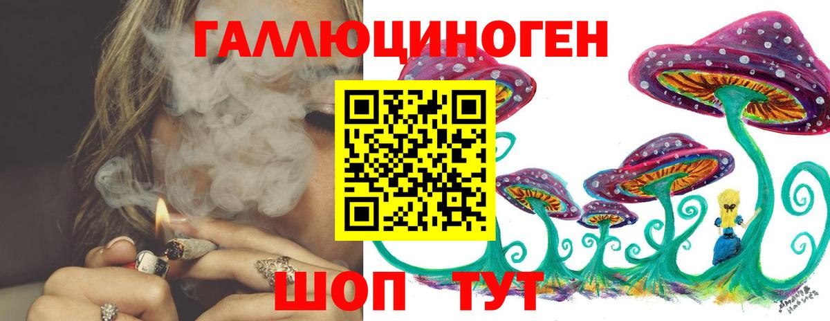 Галлюциногенные грибы Psilocybine cubensis Кулебаки